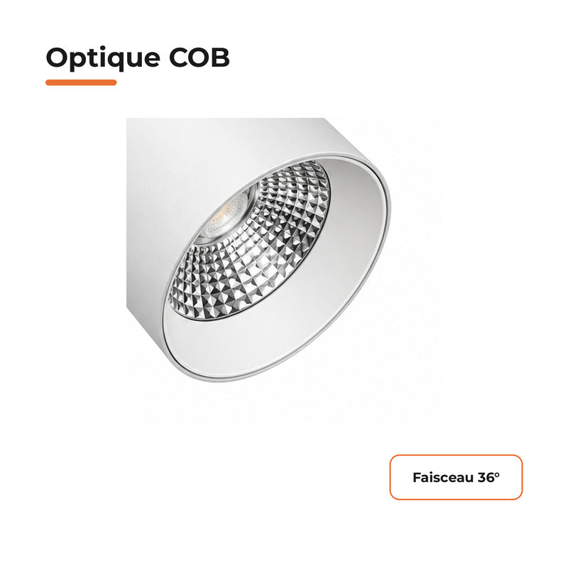 Pack de 10 - Spot LED sur Rail COB Triphasé 30W 36° Blanc - Garantie 5 ans