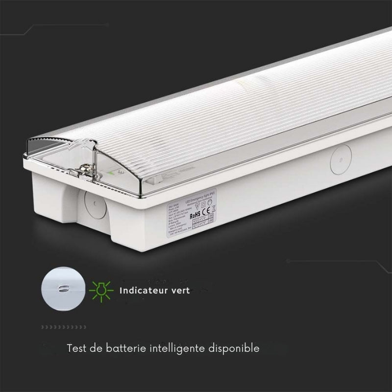 Bloc de Secours BAES LED Bouton Autotest 3W IP65 - Silamp France