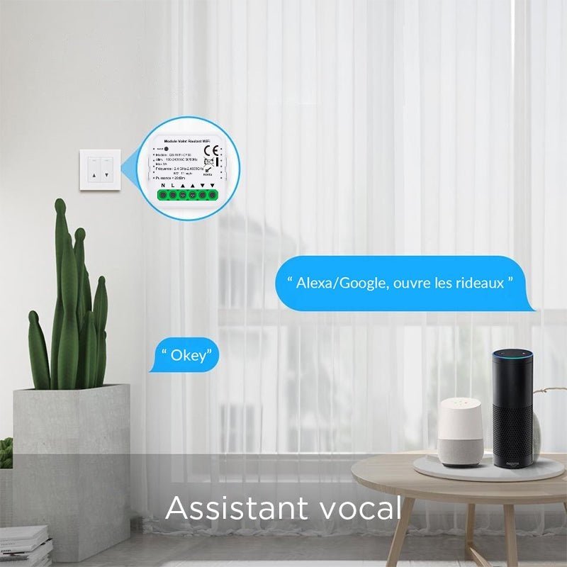 Module Interrupteur Volet Roulant Connecté WiFi - Silamp France