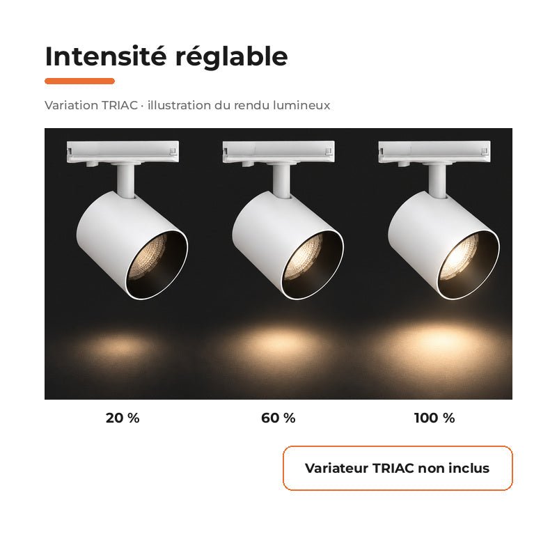 Pack de 10 - Spot LED sur Rail Blanc Monophasé 24W 36° TRIAC Dimmable - Silamp France