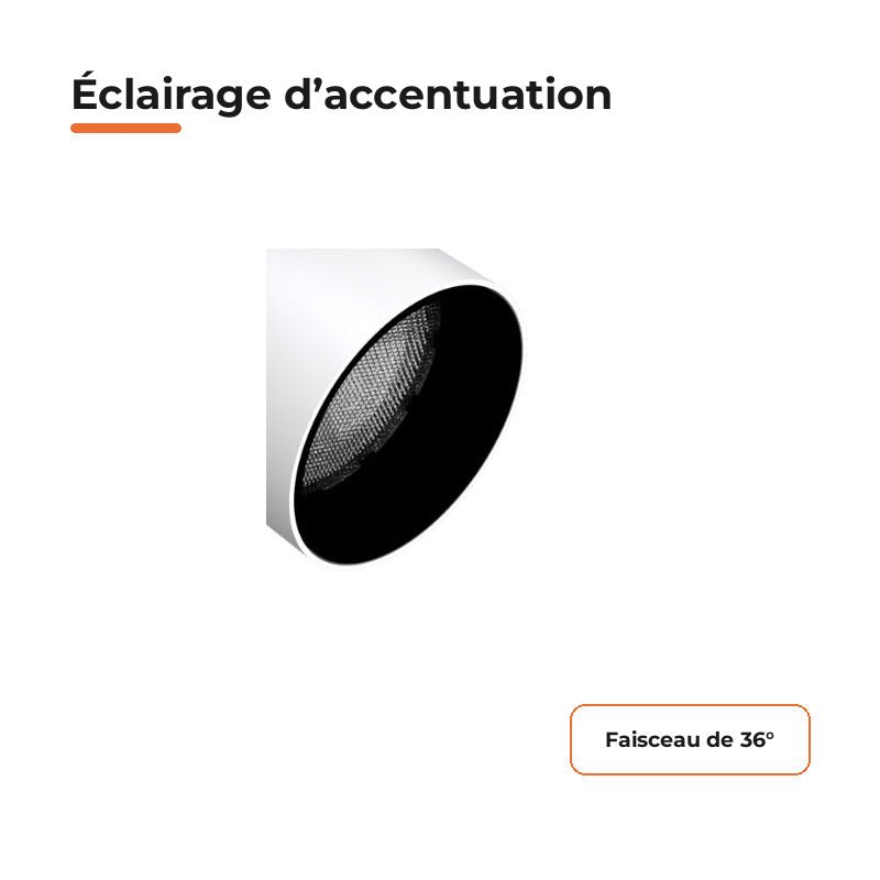 Pack de 10 - Spot LED sur Rail Blanc Monophasé 24W 36° TRIAC Dimmable - Silamp France