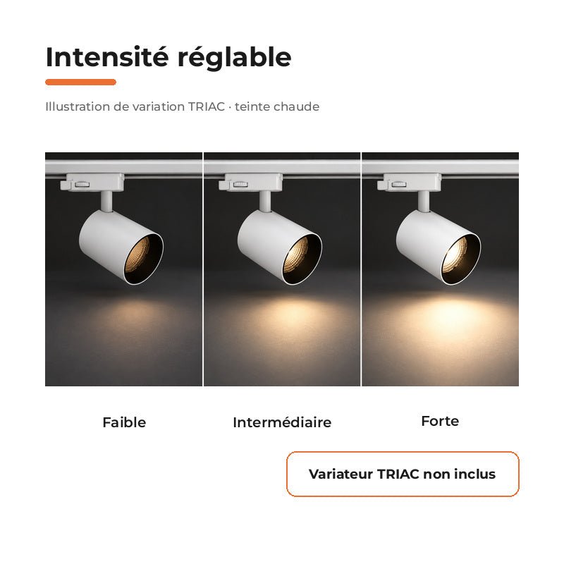 Pack de 10 - Spot LED sur Rail Blanc Triphasé 24W 36° TRIAC Dimmable - Silamp France