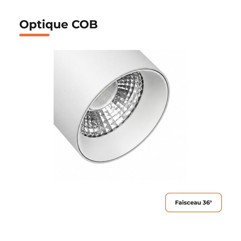 Pack de 10 - Spot LED sur Rail COB Triphasé 40W 36° Blanc - Garantie 5 ans - Silamp France