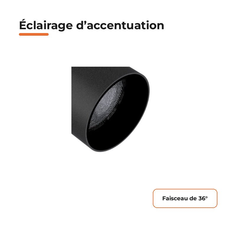 Pack de 10 - Spot LED sur Rail Noir Monophasé 24W 36° TRIAC Dimmable - Silamp France