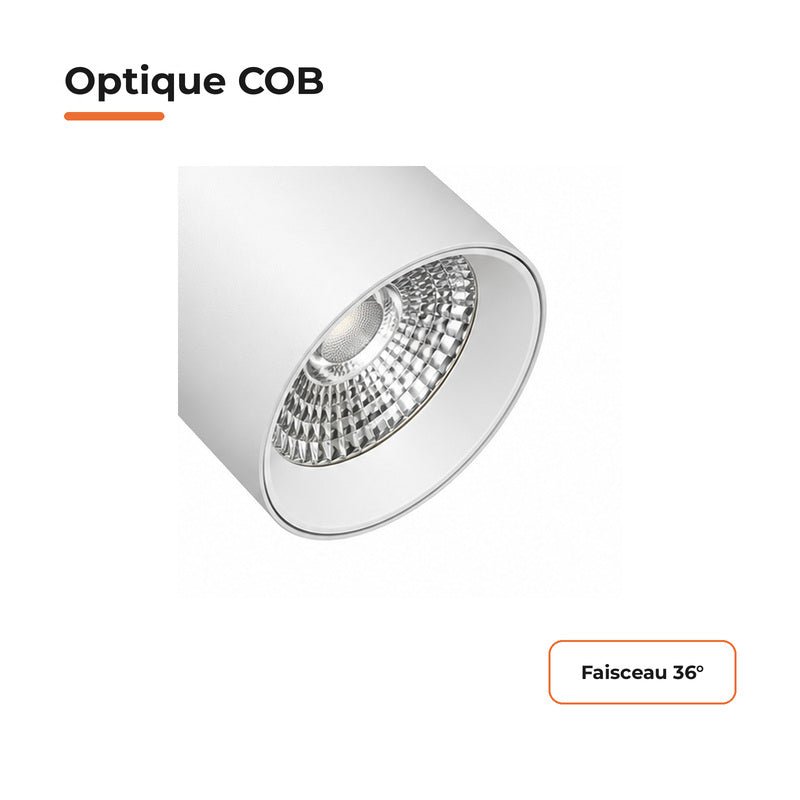 Spot LED sur Rail COB Triphasé 10W 36° Blanc Philips - Garantie 5 ans - Silamp France