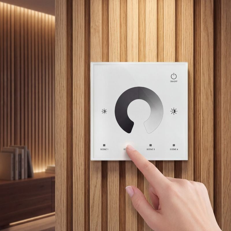 Variateur LED Monocouleur 12 - 48V DC Max 10A - Blanc - Silamp France