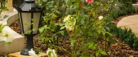 visuel-cat-landing-page-guides-utiles-cocon-eclairage-exterieur-1__PID:4716a904-d047-40f7-8e38-f9291011e036