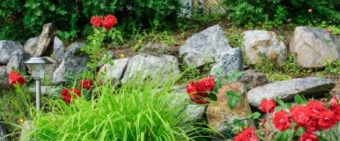 visuel-cat-landing-page-guides-utiles-cocon-eclairage-exterieur-7__PID:6db08490-d4db-47ef-a54d-2c06b2c7ac70