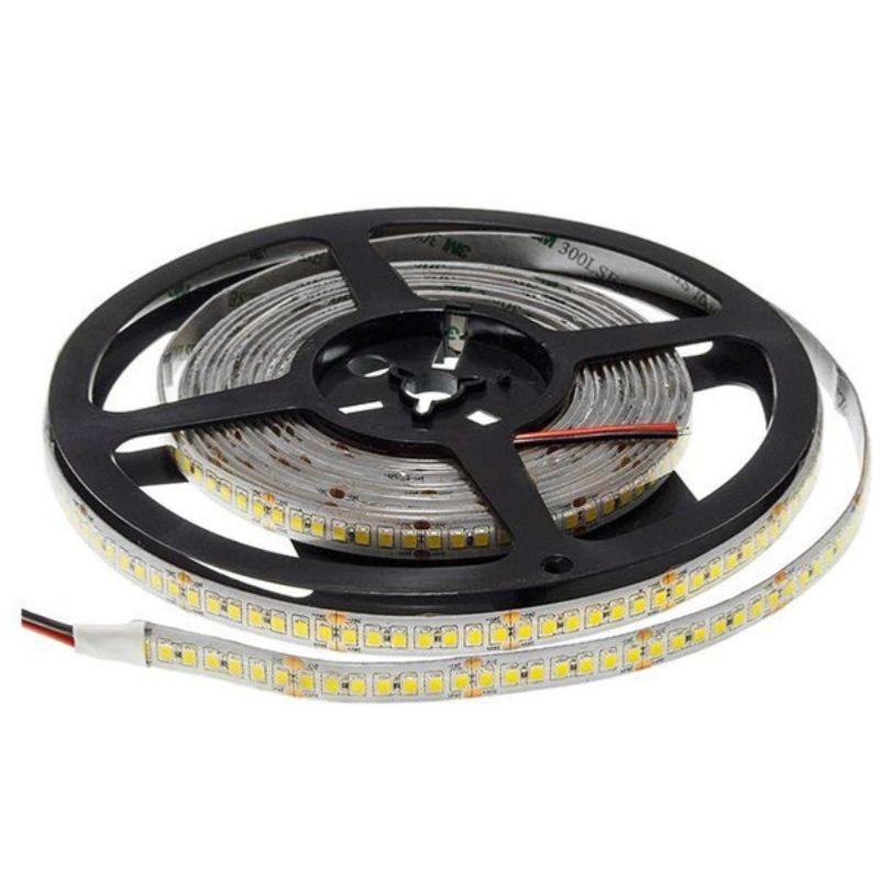 Ruban LED 5M 24V 2835 IP65 196LED/m