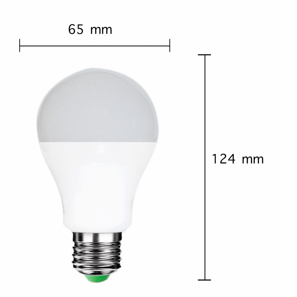 Ampoule LED E27 A65 12W 220V 180°