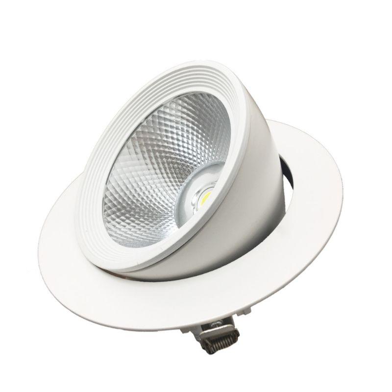 Spot LED Rond Encastrable Orientable COB Blanc 30W