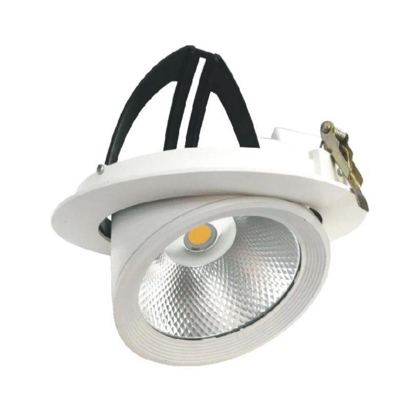 Spot LED Rond Encastrable Orientable COB Blanc 30W