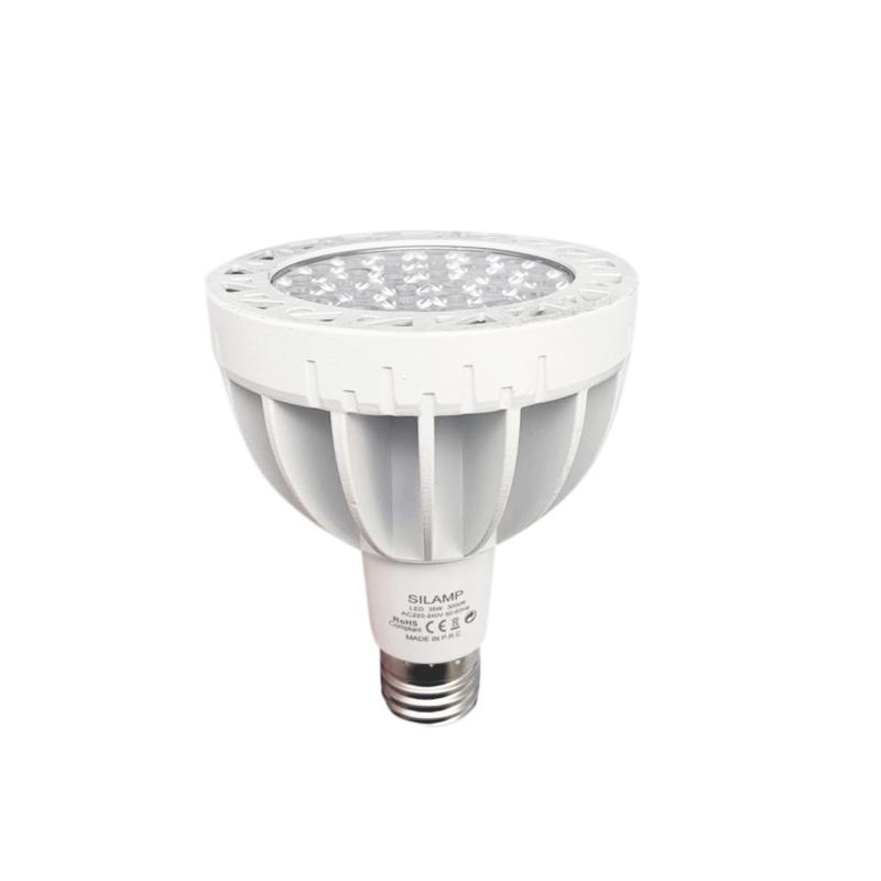 Ampoule LED E27 Blanche 35W 220V PAR30 30LED