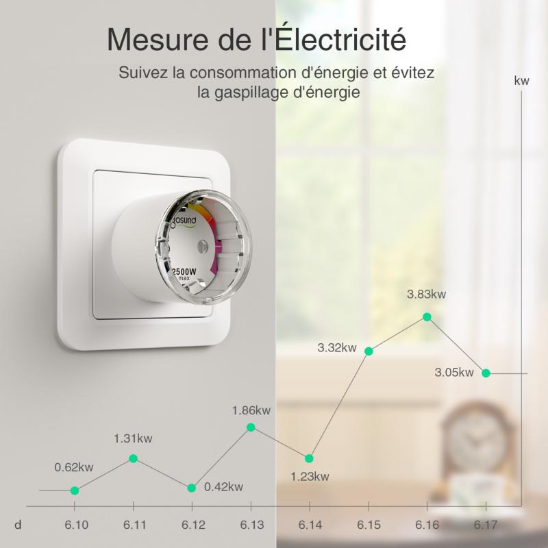 Prise Connectée Intelligente WiFi 2.4GHz 10A Blanche (Lot de 2)