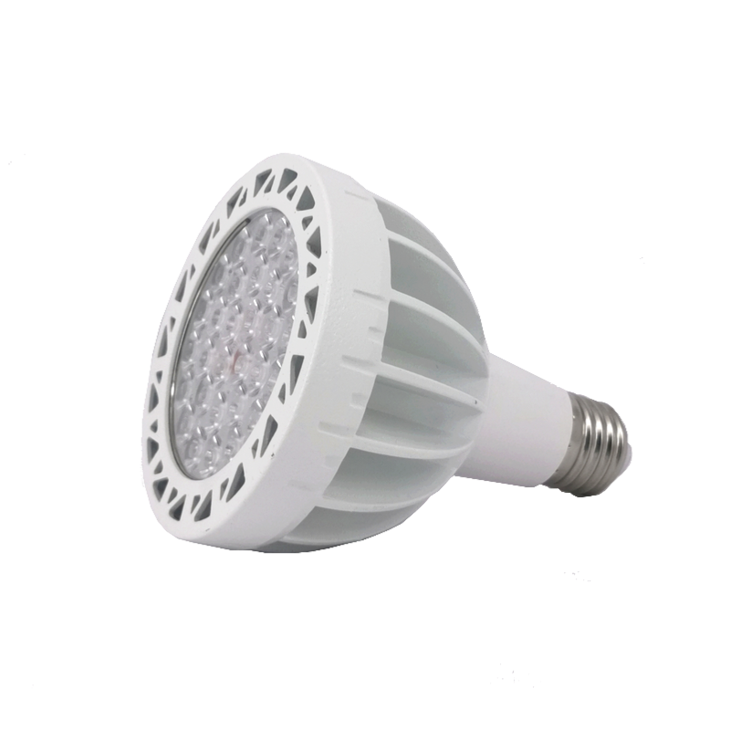 Ampoule LED E27 Blanche 35W 220V PAR30 30LED