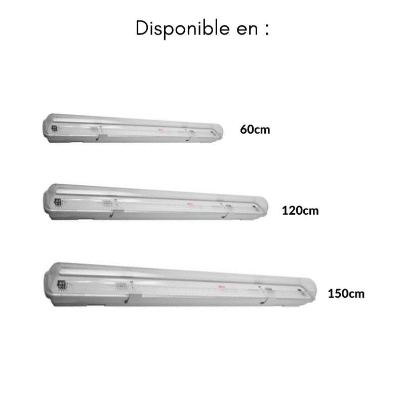 Pack de 12 - Réglette LED étanche pour Tube LED T8 120cm IP65
