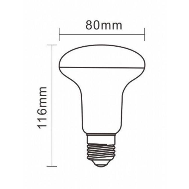 Ampoule LED E27 10W 220V R80 120°