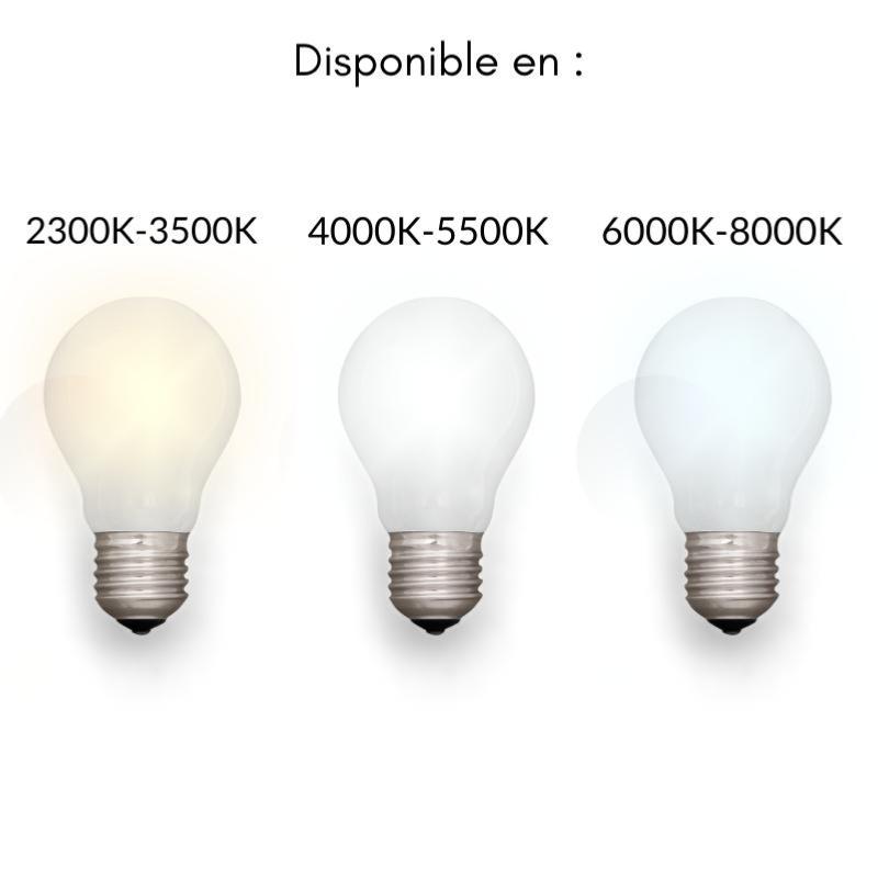 Tube Néon LED T5 30cm 3.4W 2 Têtes avec Interrupteur