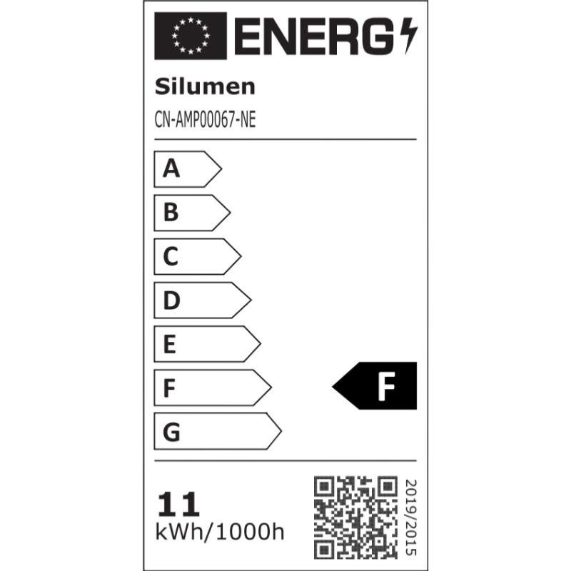 Ampoule LED Connectée WiFi E27 11W G95 RGBW (Pack de 10) - Silamp France