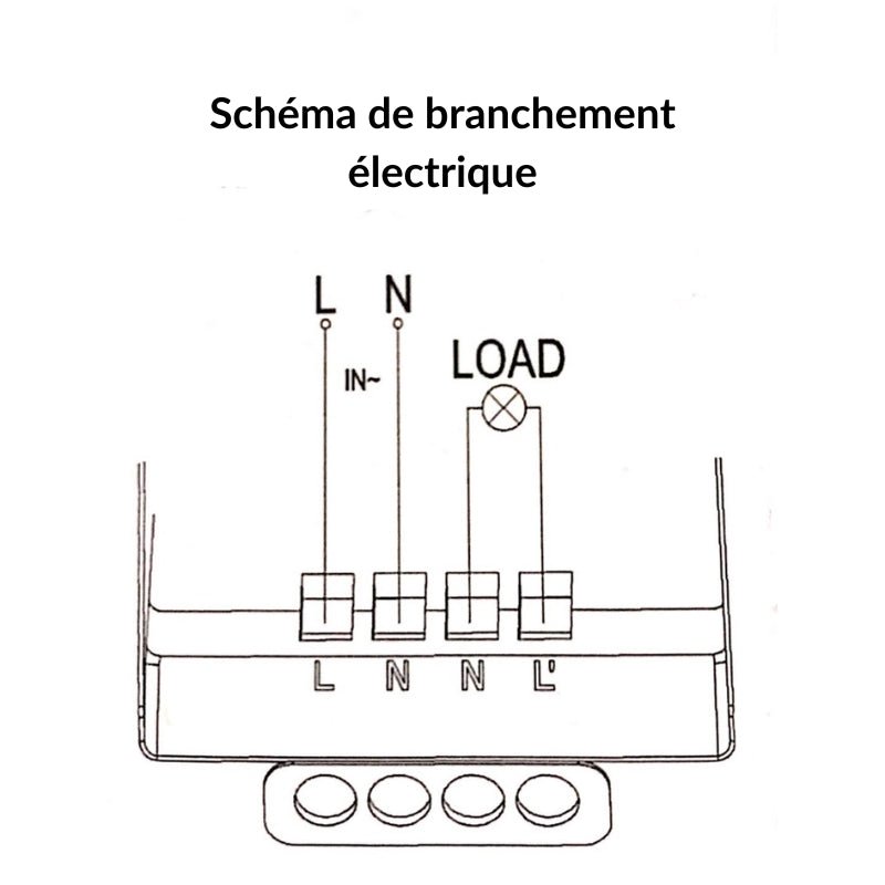 Détecteur de Mouvement en Saillie 6m 360° 220V Rond - Silamp France