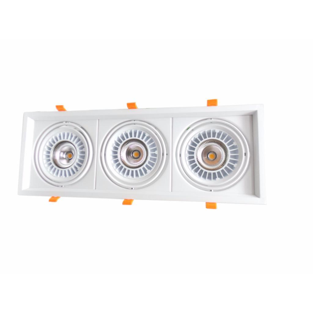 Spot LED COB Rectangle Orientable 3x20W 120°
