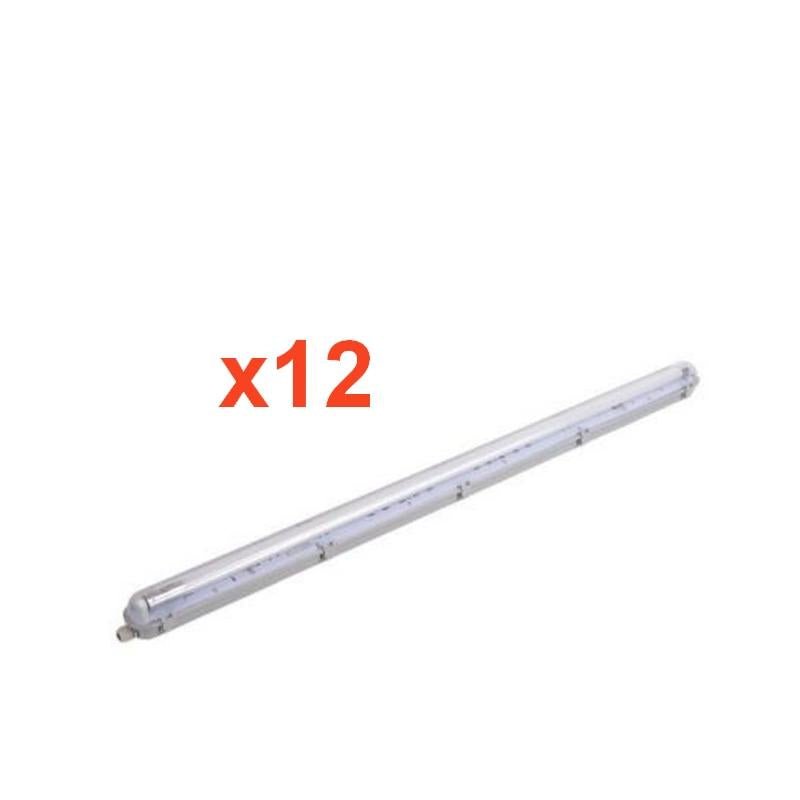 Kit de Réglette LED étanche + Tube Néon LED 120cm T8 18W (Pack de 12) - Silamp France