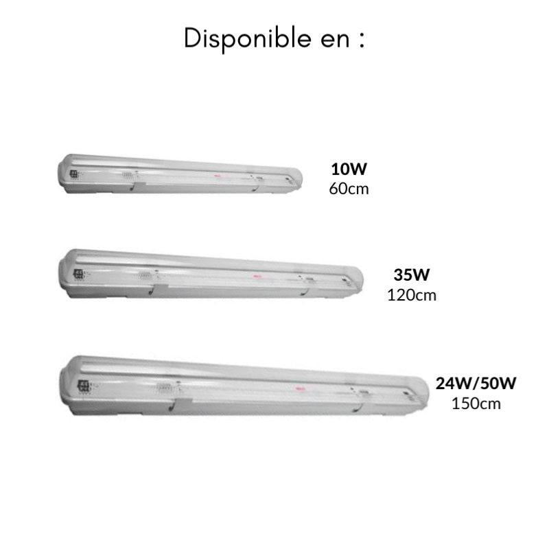 Kit de Réglette LED Etanche + Tube Néon LED 150cm T8 50W - Silamp France
