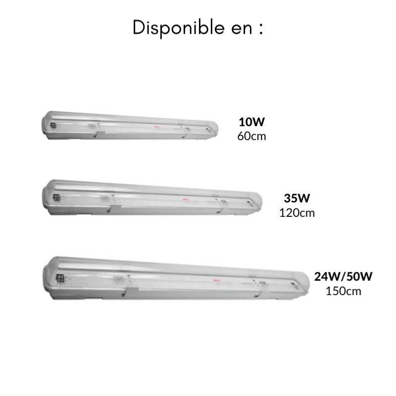 Kit de Réglette LED étanche + Tube Néon LED 60cm T8 10W - Silamp France