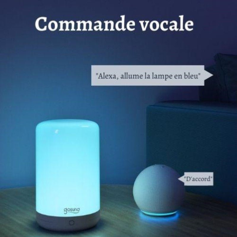 Lampe de Chevet WiFi RGBW 2A - Silamp France