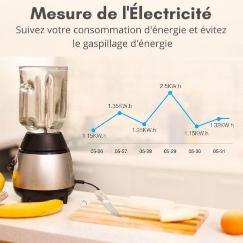 Prise Connectée Intelligente WiFi 2.4GHz 16A Blanche + 2 Ports USB 2.1A (Lot de 2) - Silamp France