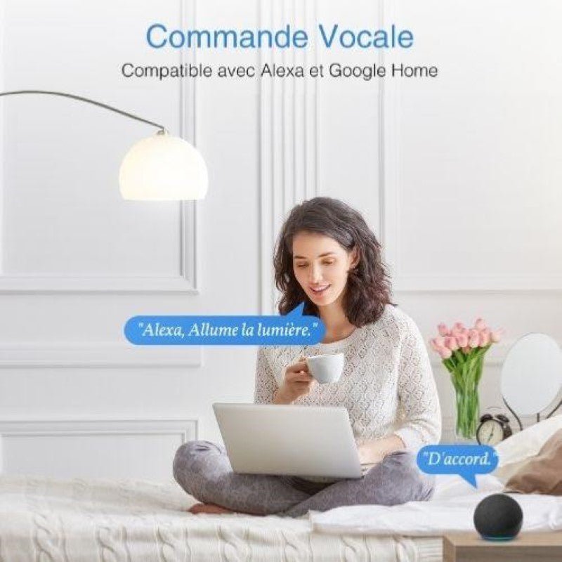 Prise Connectée WiFi 2.4GHz 16A Blanche (Lot de 2) - Silamp France