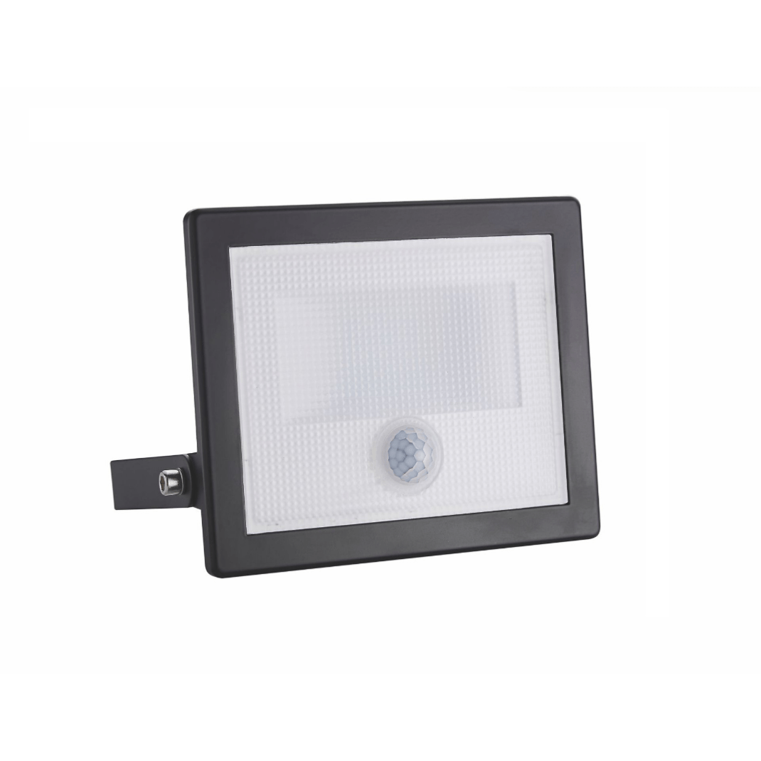 Projecteur LED Extérieur 30W Détecteur de Mouvement Crépusculaire Extra Plat IP65 NOIR - Silamp France