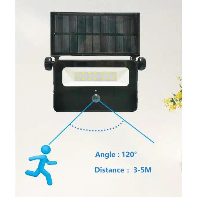Projecteur Solaire LED 2W avec détecteur de mouvement - Silamp France