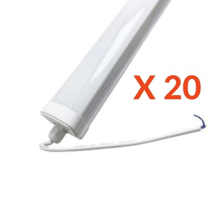 Réglette LED étanche 150cm 50W IP65 (Pack de 20) - Silamp France