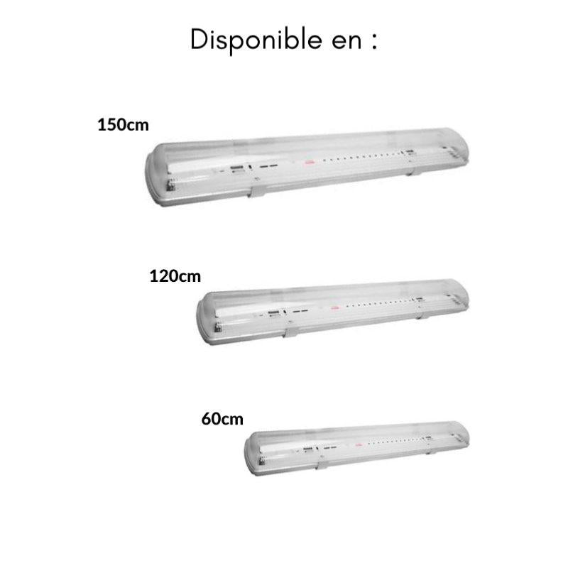 Réglette LED étanche double pour Tubes LED T8 120cm IP65 (boitier vide) (Pack de 8) - Silamp France