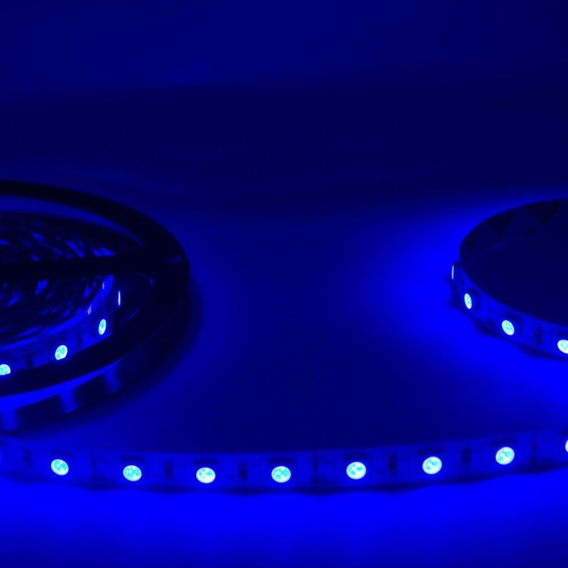 Ruban LED 12V 5M BLEU 5050 IP20 60LED/m - Silamp France