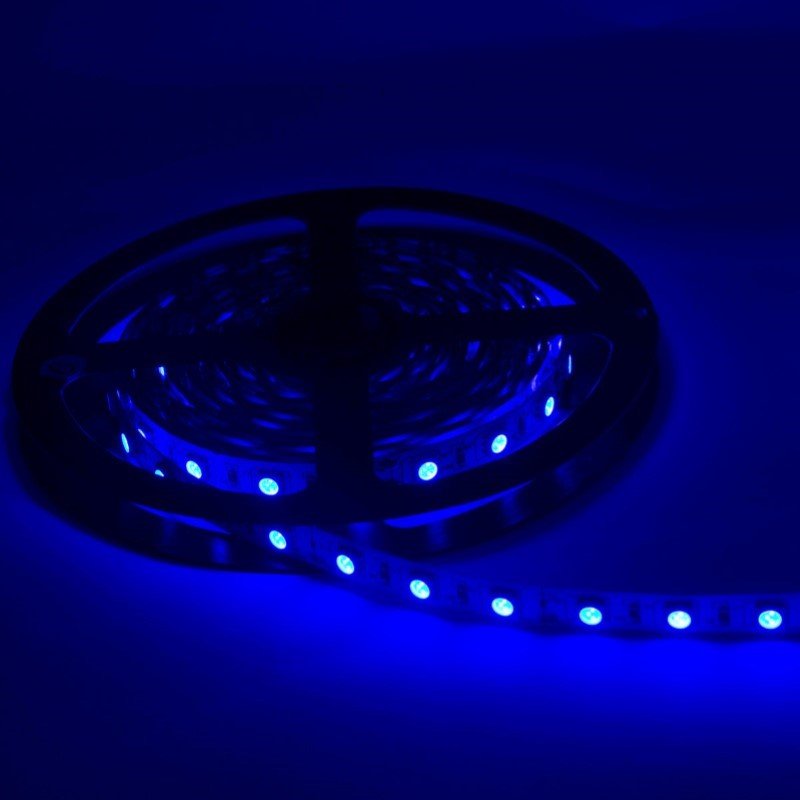 Ruban LED 12V 5M BLEU 5050 IP20 60LED/m - Silamp France