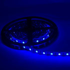 Ruban LED 12V 5M BLEU IP54 SMD 2835 60LED/m