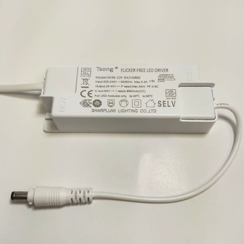 Transformateur No Flicker 25-40V 36W IP44 DC 0.8A - Silamp France