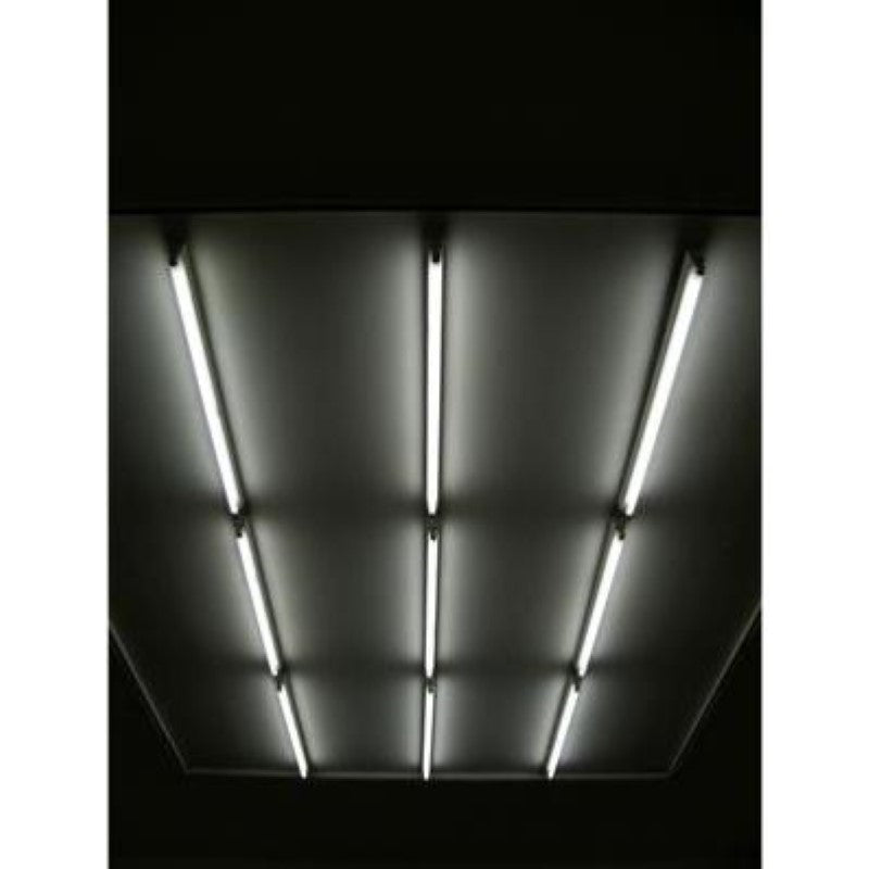 Tube Néon LED 120cm T8 36W (Pack de 10) - Silamp France