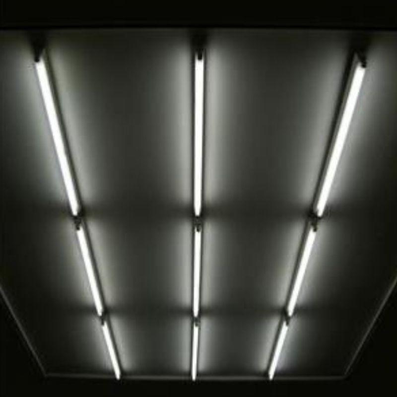 Tube Néon LED 150cm T8 50W (Pack de 5) - Silamp France