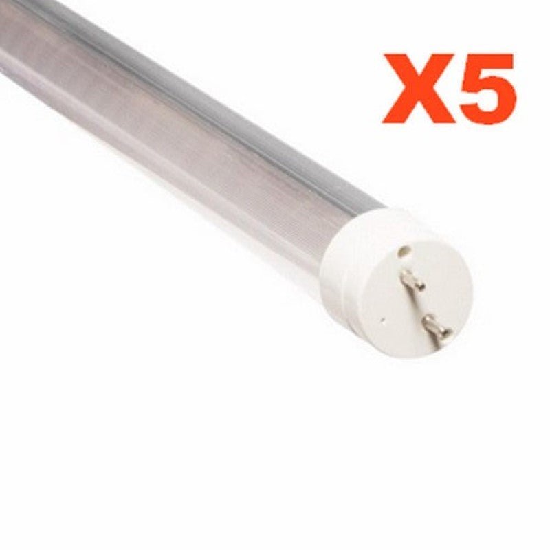 Tube Néon LED 60cm T8 10W (Pack de 5) - Silamp France