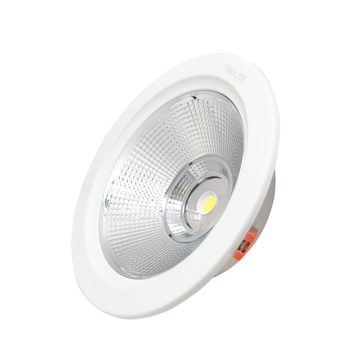 Spot Encastrable LED Plafond Rond 40W 225mm 