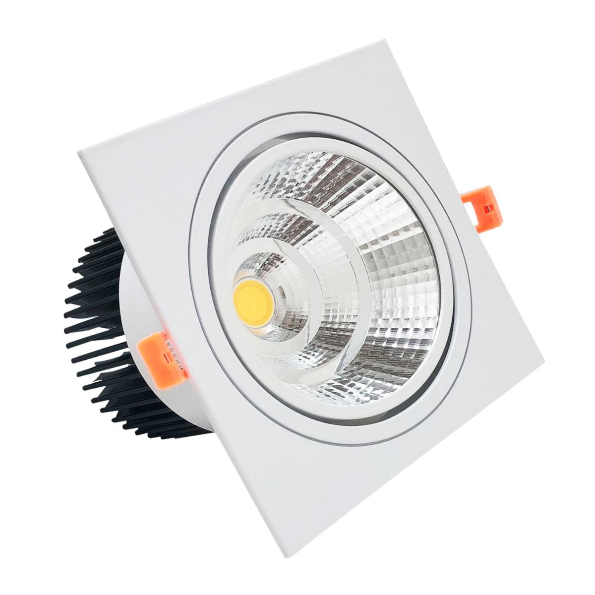 Spot LED Encastrable Orientable Carr 24W