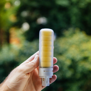 Ampoules à Baïonnette