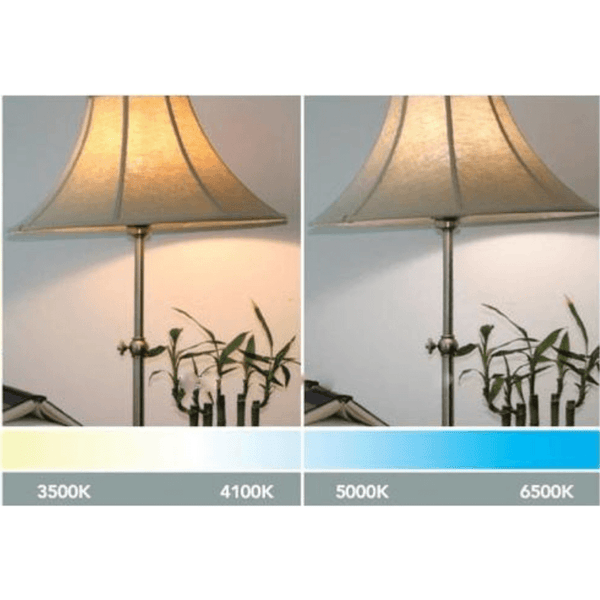 Ampoules LED 12V