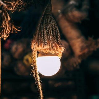 Ampoules LED Dimmables