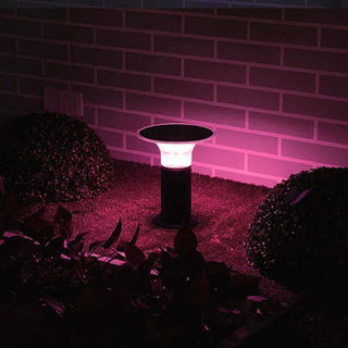 Bornes Solaires Connectées