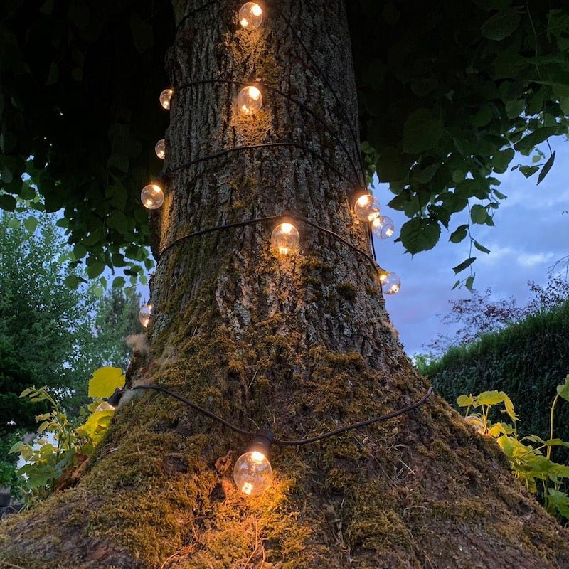 1 Paquet De Lumières Féeriques D'arbre De Cascade Lumière De - Temu France