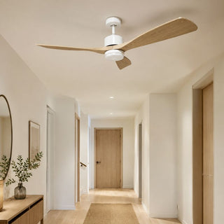 Ventilateur de Plafond